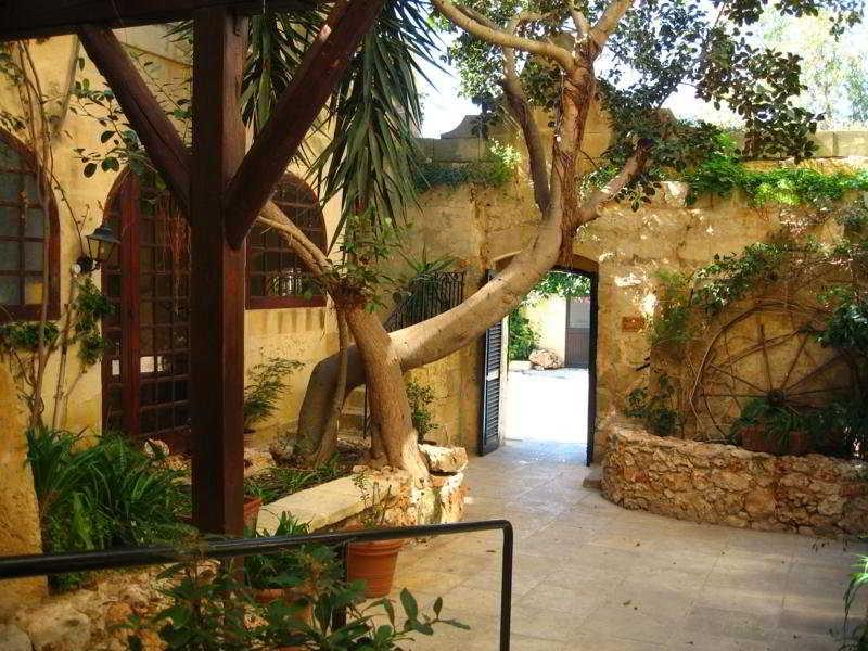 Hotel Cornucopia